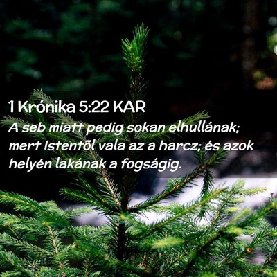 Picture 02 - 1 Krónika 5:22 KAR - A seb miatt pedig sokan elhullának; mert - Bible Verse Picture
