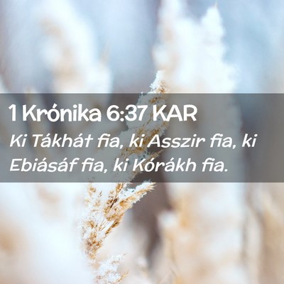 Picture 02 - 1 Krónika 6:37 KAR - Ki Tákhát fia, ki Asszir fia, ki Ebiásáf fia, - Bible Verse Picture