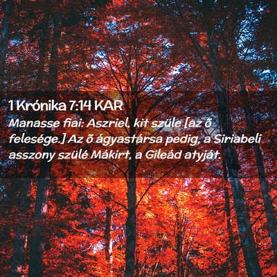 Picture 02 - 1 Krónika 7:14 KAR - Manasse fiai: Aszriel, kit szüle [az õ - Bible Verse Picture