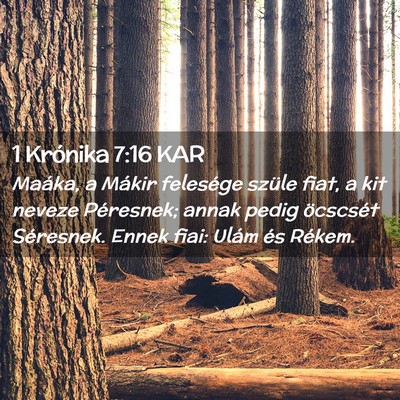 Picture 02 - 1 Krónika 7:16 KAR - Maáka, a Mákir felesége szüle fiat, a kit - Bible Verse Picture