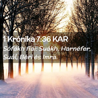 Picture 02 - 1 Krónika 7:36 KAR - Sófákh fiai: Suákh, Harnéfer, Suál, Béri - Bible Verse Picture