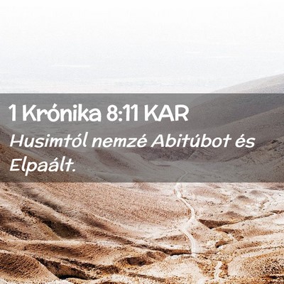Picture 02 - 1 Krónika 8:11 KAR - Husimtól nemzé Abitúbot és - Bible Verse Picture