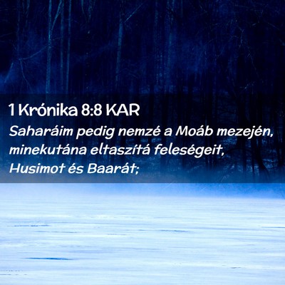 Picture 02 - 1 Krónika 8:8 KAR - Saharáim pedig nemzé a Moáb mezején, - Bible Verse Picture