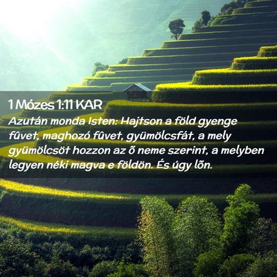 Picture 02 - 1 Mózes 1:11 KAR - Azután monda Isten: Hajtson a föld gyenge - Bible Verse Picture