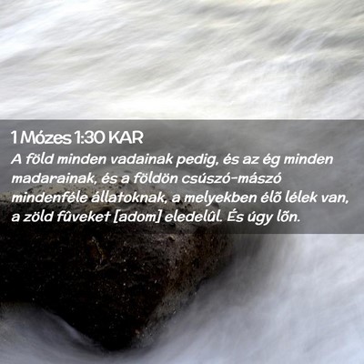 Picture 02 - 1 Mózes 1:30 KAR - A föld minden vadainak pedig, és az ég minden - Bible Verse Picture
