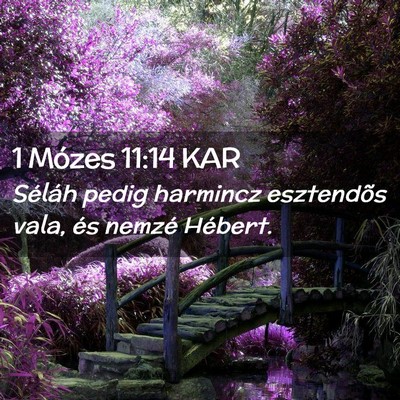 Picture 02 - 1 Mózes 11:14 KAR - Séláh pedig harmincz esztendõs vala, és - Bible Verse Picture