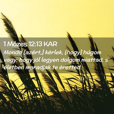Picture 02 - 1 Mózes 12:13 KAR - Mondd [azért,] kérlek, [hogy] húgom vagy; hogy - Bible Verse Picture