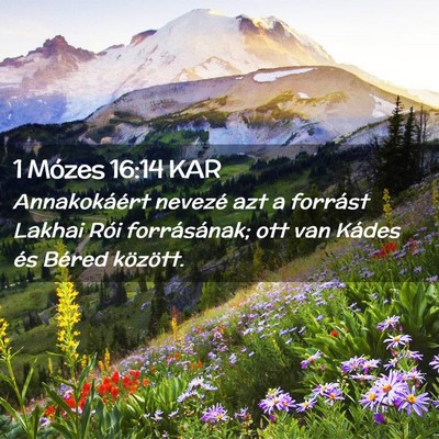 Picture 02 - 1 Mózes 16:14 KAR - Annakokáért nevezé azt a forrást Lakhai Rói - Bible Verse Picture