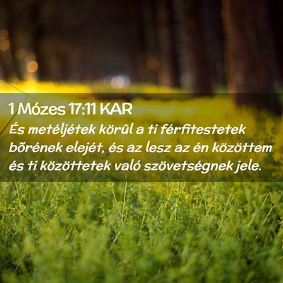 Picture 02 - 1 Mózes 17:11 KAR - És metéljétek körûl a ti férfitestetek - Bible Verse Picture