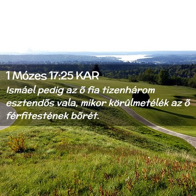 Picture 02 - 1 Mózes 17:25 KAR - Ismáel pedig az õ fia tizenhárom esztendõs - Bible Verse Picture