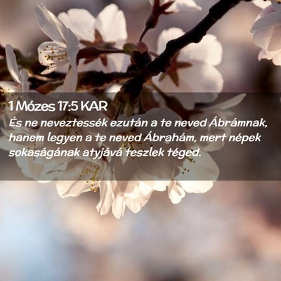 Picture 02 - 1 Mózes 17:5 KAR - És ne neveztessék ezután a te neved - Bible Verse Picture
