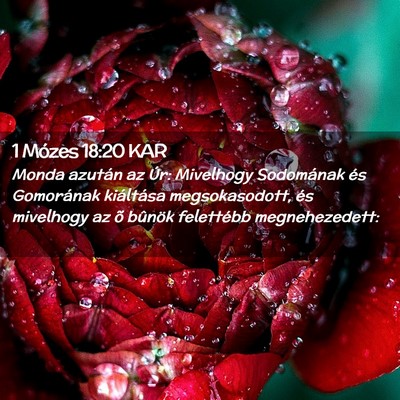 Picture 02 - 1 Mózes 18:20 KAR - Monda azután az Úr: Mivelhogy Sodomának és - Bible Verse Picture