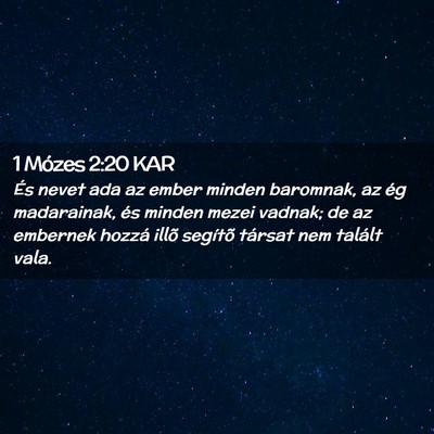 Picture 02 - 1 Mózes 2:20 KAR - És nevet ada az ember minden baromnak, az ég - Bible Verse Picture