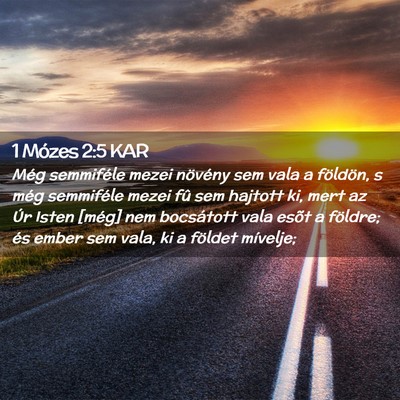 Picture 02 - 1 Mózes 2:5 KAR - Még semmiféle mezei növény sem vala a - Bible Verse Picture