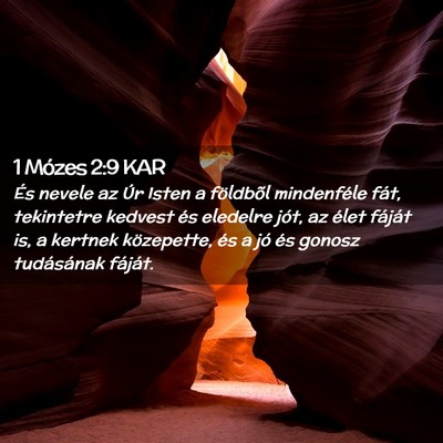 Picture 02 - 1 Mózes 2:9 KAR - És nevele az Úr Isten a földbõl mindenféle - Bible Verse Picture