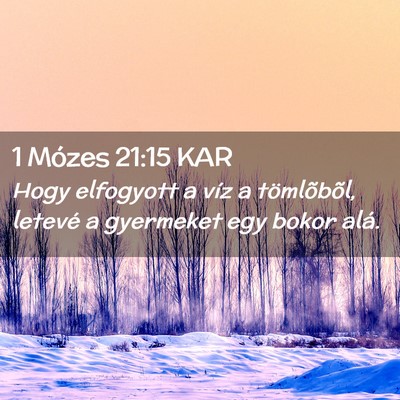Picture 02 - 1 Mózes 21:15 KAR - Hogy elfogyott a víz a tömlõbõl, letevé a - Bible Verse Picture