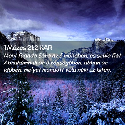 Picture 02 - 1 Mózes 21:2 KAR - Mert fogada Sára az õ méhében, és szûle - Bible Verse Picture