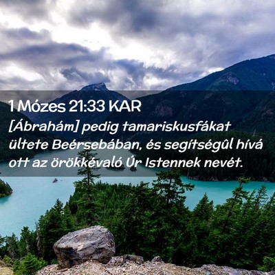 Picture 02 - 1 Mózes 21:33 KAR - [Ábrahám] pedig tamariskusfákat ültete - Bible Verse Picture