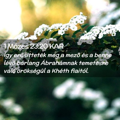 Picture 02 - 1 Mózes 23:20 KAR - Így erõsítteték meg a mezõ és a benne - Bible Verse Picture