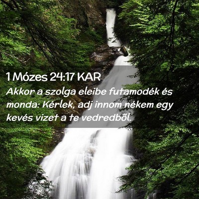 Picture 02 - 1 Mózes 24:17 KAR - Akkor a szolga eleibe futamodék és monda: - Bible Verse Picture