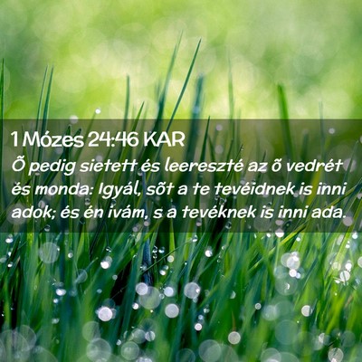 Picture 02 - 1 Mózes 24:46 KAR - Õ pedig sietett és leereszté az õ vedrét és - Bible Verse Picture
