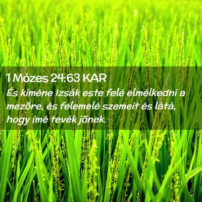 Picture 02 - 1 Mózes 24:63 KAR - És kiméne Izsák este felé elmélkedni a - Bible Verse Picture