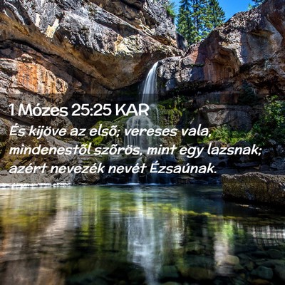 Picture 02 - 1 Mózes 25:25 KAR - És kijöve az elsõ; vereses vala, mindenestõl - Bible Verse Picture