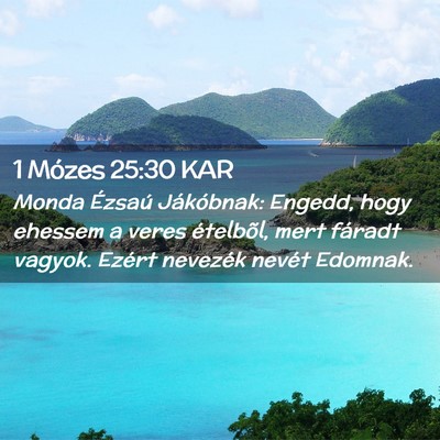 Picture 02 - 1 Mózes 25:30 KAR - Monda Ézsaú Jákóbnak: Engedd, hogy ehessem a - Bible Verse Picture