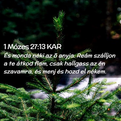 Picture 02 - 1 Mózes 27:13 KAR - És monda néki az õ anyja: Reám szálljon a te - Bible Verse Picture