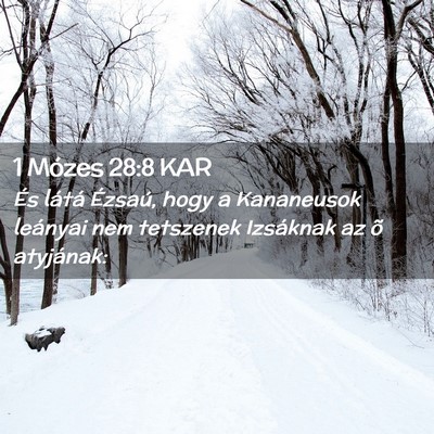 Picture 02 - 1 Mózes 28:8 KAR - És látá Ézsaú, hogy a Kananeusok leányai - Bible Verse Picture