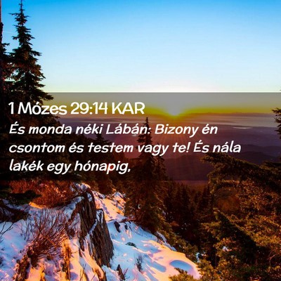 Picture 02 - 1 Mózes 29:14 KAR - És monda néki Lábán: Bizony én csontom és - Bible Verse Picture