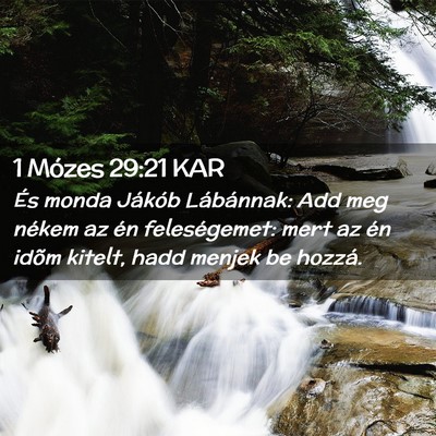 Picture 02 - 1 Mózes 29:21 KAR - És monda Jákób Lábánnak: Add meg nékem az - Bible Verse Picture