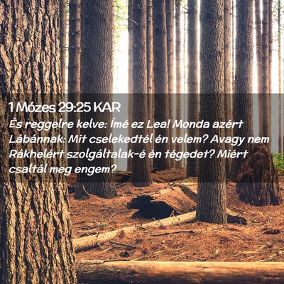 Picture 02 - 1 Mózes 29:25 KAR - És reggelre kelve: Ímé ez Lea! Monda azért - Bible Verse Picture