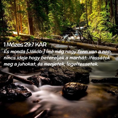 Picture 02 - 1 Mózes 29:7 KAR - És monda [Jákób:] Ímé még nagy fenn van a - Bible Verse Picture