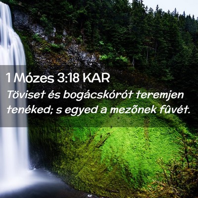 Picture 02 - 1 Mózes 3:18 KAR - Töviset és bogácskórót teremjen tenéked; s - Bible Verse Picture