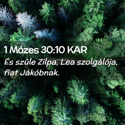 Picture 02 - 1 Mózes 30:10 KAR - És szûle Zilpa, Lea szolgálója, fiat - Bible Verse Picture