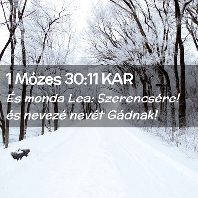 Picture 02 - 1 Mózes 30:11 KAR - És monda Lea: Szerencsére! és nevezé nevét - Bible Verse Picture