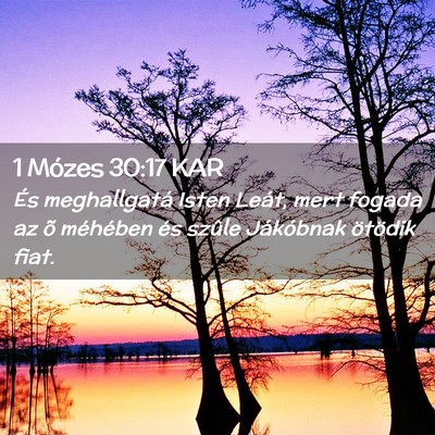 Picture 02 - 1 Mózes 30:17 KAR - És meghallgatá Isten Leát, mert fogada az õ - Bible Verse Picture