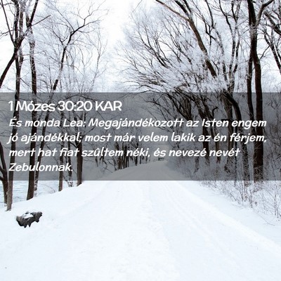 Picture 02 - 1 Mózes 30:20 KAR - És monda Lea: Megajándékozott az Isten engem - Bible Verse Picture