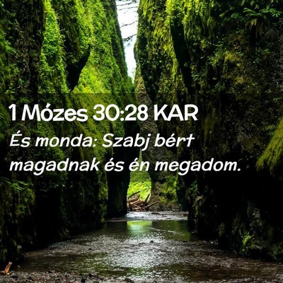 Picture 02 - 1 Mózes 30:28 KAR - És monda: Szabj bért magadnak és én - Bible Verse Picture
