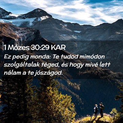Picture 02 - 1 Mózes 30:29 KAR - Ez pedig monda: Te tudod mimódon szolgáltalak - Bible Verse Picture