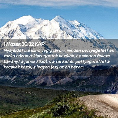 Picture 02 - 1 Mózes 30:32 KAR - Nyájaidat ma mind végig járom, minden - Bible Verse Picture
