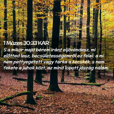 Picture 02 - 1 Mózes 30:33 KAR - S a mikor majd bérem iránt eljövéndesz, mi - Bible Verse Picture