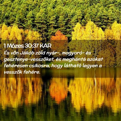 Picture 02 - 1 Mózes 30:37 KAR - És võn Jákób zöld nyár-, mogyoró- és - Bible Verse Picture