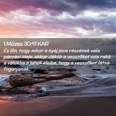 Picture 02 - 1 Mózes 30:41 KAR - És lõn, hogy mikor a nyáj java részének vala - Bible Verse Picture