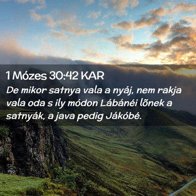 Picture 02 - 1 Mózes 30:42 KAR - De mikor satnya vala a nyáj, nem rakja vala oda - Bible Verse Picture