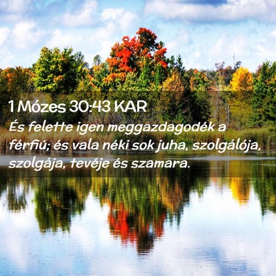 Picture 02 - 1 Mózes 30:43 KAR - És felette igen meggazdagodék a férfiú; és - Bible Verse Picture