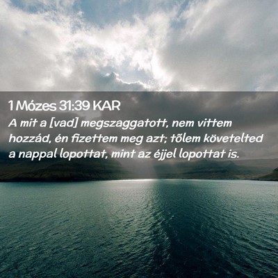 Picture 02 - 1 Mózes 31:39 KAR - A mit a [vad] megszaggatott, nem vittem hozzád, - Bible Verse Picture