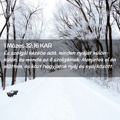 Picture 02 - 1 Mózes 32:16 KAR - És szolgái kezébe adá, minden nyájat - Bible Verse Picture