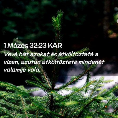 Picture 02 - 1 Mózes 32:23 KAR - Vevé hát azokat és átköltözteté a vízen, - Bible Verse Picture